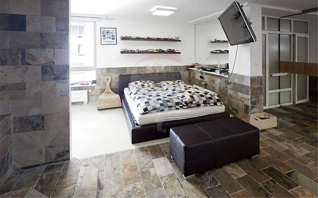 Luxury Apartment With Sauna Prague 0*,